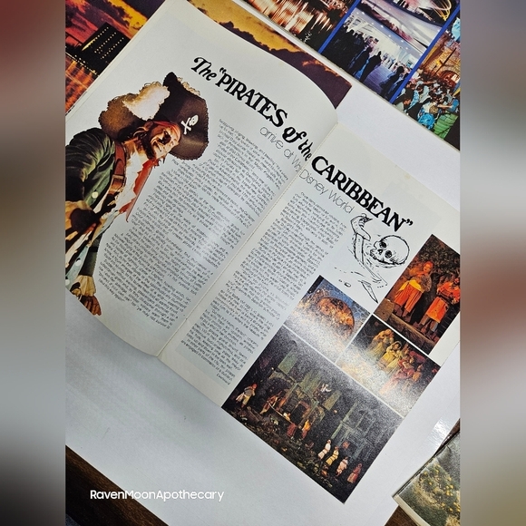 4 Walt Disney World /Disneyland Books - Picture 9 of 9